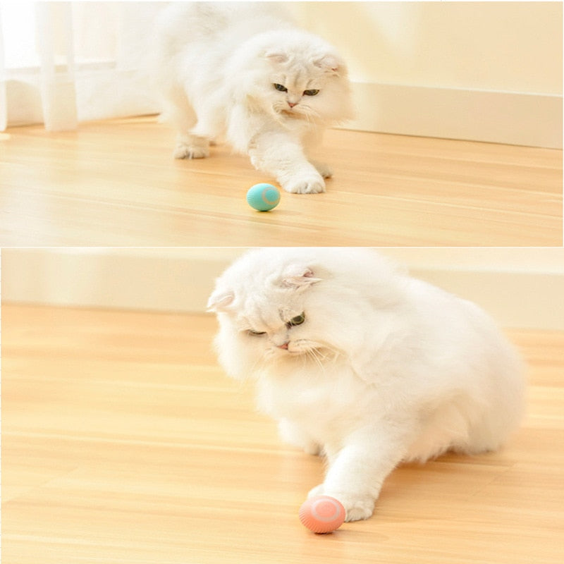 Self-moving Kitten Electric Cat Ball. Automatic Rolling Smart Cat Toys. Indoor Interactive Playing
