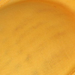 Accessories Feather Headdress Banquet Net Yarn Hair Accessories Photo Hat