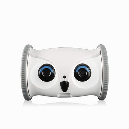 Owl-shaped Dog Electric Toy With Snacks