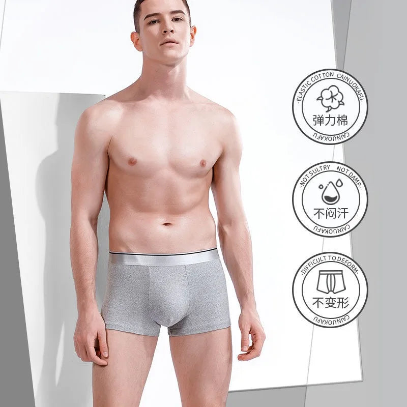 Boxer Male Panties