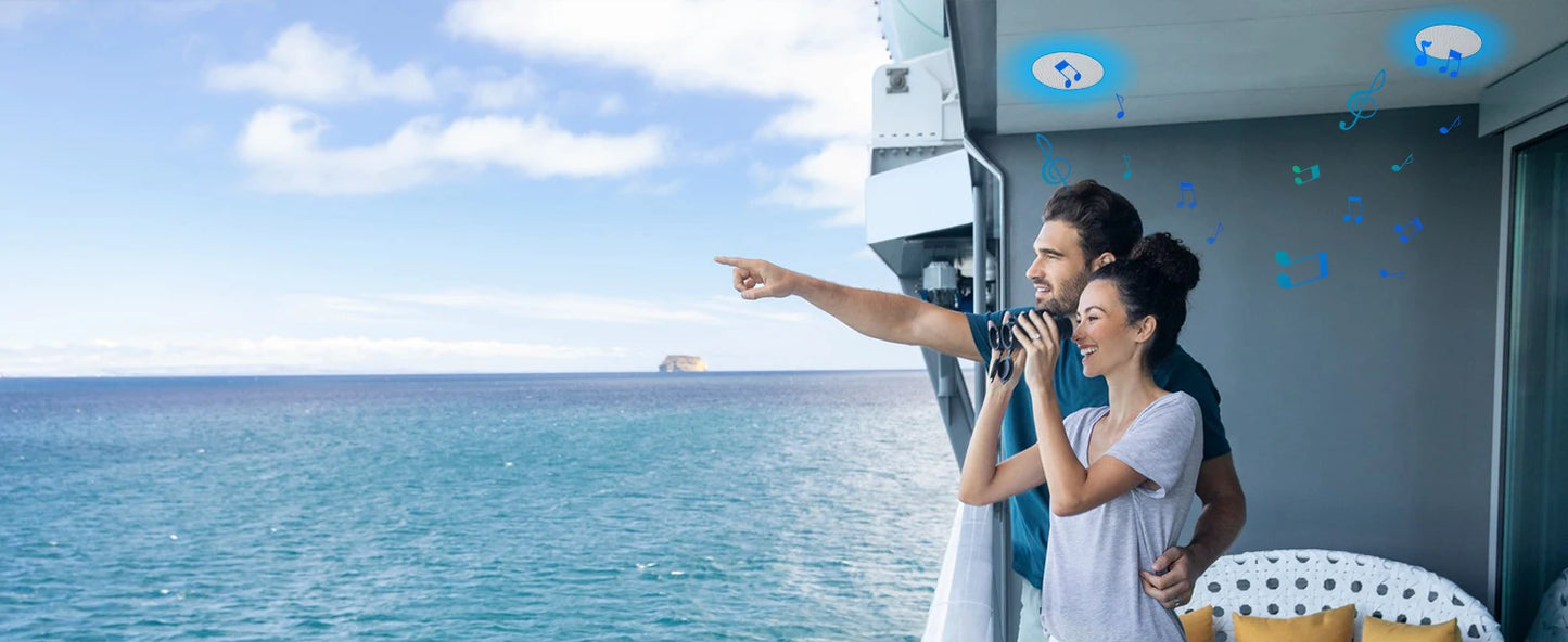 Herdio 4 Inch Flush Mount Two-way Stereo Ceiling Bluetooth Speaker For Indoor And Outdoor Placement In Bathroom Kitchen Bedroom