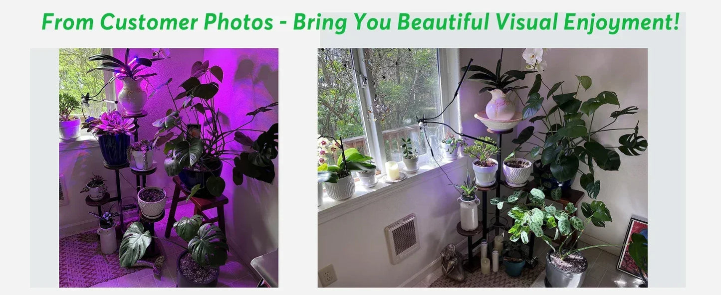 Corner Plant Stand Indoor, 6 Tiered Plant Shelf Flower Stand, Tall Multiple Potted Plant Holder