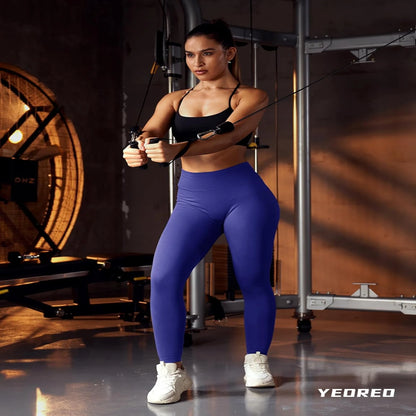 Stylish Black High Waisted Seamless Gym Yoga Leggings