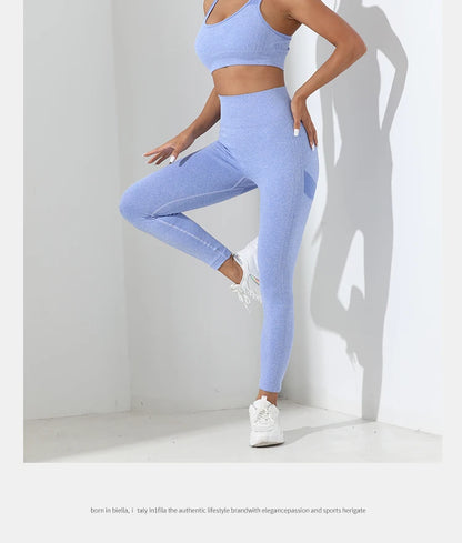 Yoga Basic 2pcs Seamless High Stretch Yoga Set Tracksuit Gym Set Crisscross Back Cami Hip-hugging Tummy Control Leggings