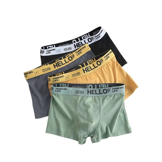 4Pcs Men's Boxers