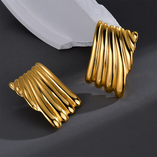 Fashion Retro Irregular Titanium Steel Women's Earrings