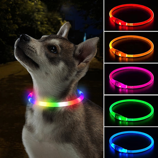 Led Dog Collar Luminous Usb Cat, Dog Collar 3 Modes Led Light